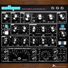 Valique - Adventures in Acid Boogie vol.1  (Preview)