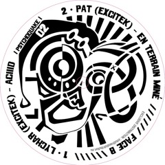 Pat Excitek - En Terrain Miné (Psychoquake 02 - Vinyl & Digital)