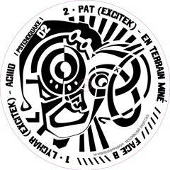 Lychar Excitek - Aciiid (Psychoquake 02 - Vinyl & Digital)