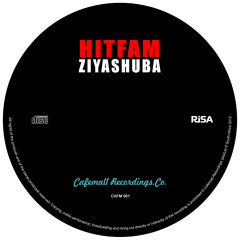 4. Hitfam - The Last Valentines feat. Aviwe (snippet)