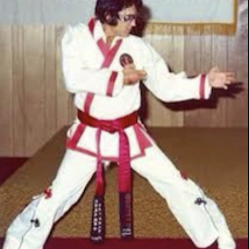 The King of Karate