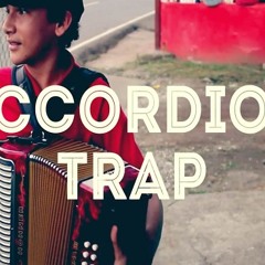 Panama accordion - trap beat (check description)