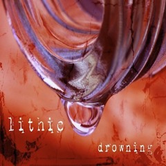 Lithic - From The Bottom