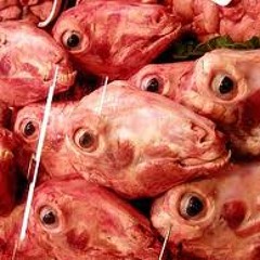 Beef Eyeballs - Test Tone Generators