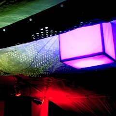 Steven B. Nightlife...