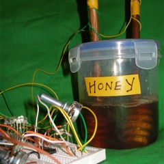 Bioni Samp - Journey to the Centre of the Beehive