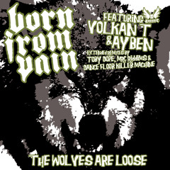 Ayben ft. Volkan T & Born From Pain-The Wolves Are Loose (Dance Floor Killer Machine Remix) 2011