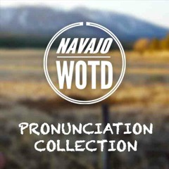 Navajo Pronunciation Collection Preview
