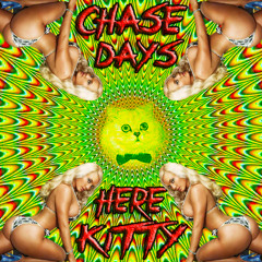 Chase Days - Here Kitty