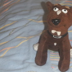 toy dog