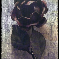 Waltz for Days Gone - take1