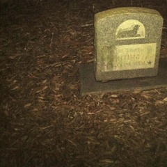 Populace ( Free Download )