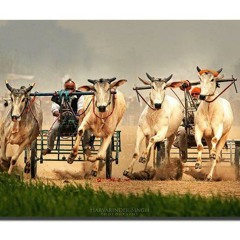 Surma (Daljit Mattu) (1)