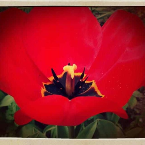 New private playlist