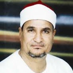 محمد عبدالوهاب طنطاوي-الاعلى