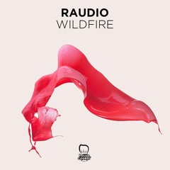 Raudio-Wildfire (House cookin' records)