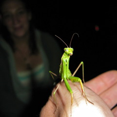 The Sunlight & The Shifting Sands