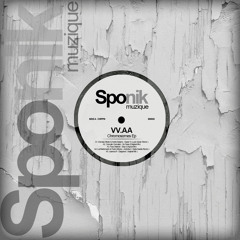 SP002 - Demian Muller & Andre Butano - Super 8 ( Lucio Spain Remix )