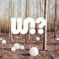 WHY NOT?! - RON FLATTER MIX