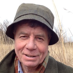 Jan Bervaes en de Merovingers