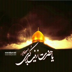 آيات صبر - على فانى