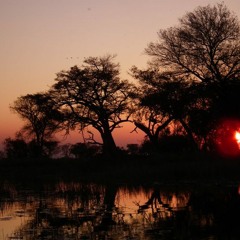 The Script (mash-up)