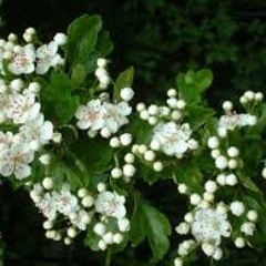 Meditation to let go of stress and tension