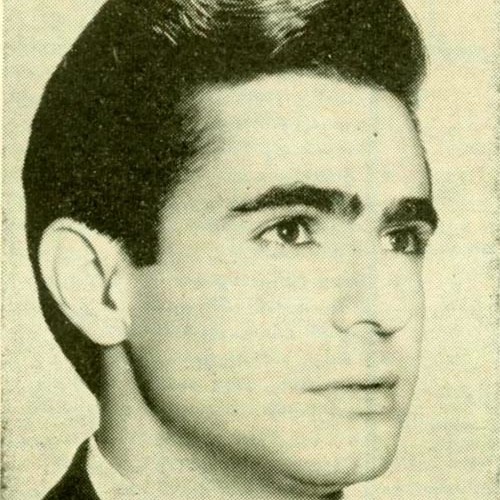 بی تو فردایی cover