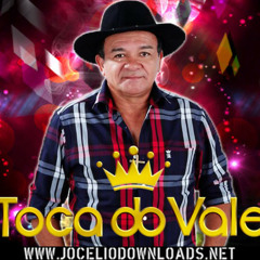 Toca do Vale - Pout Pourri De São João