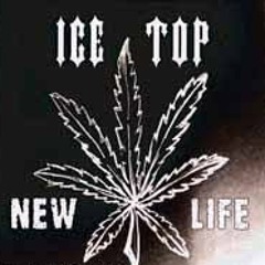 Ice Top - Buu hors