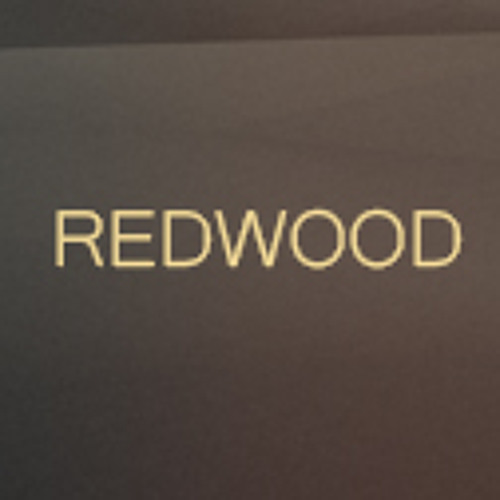 Redwood - A Place To Hide (Boogie Belgique Remix)
