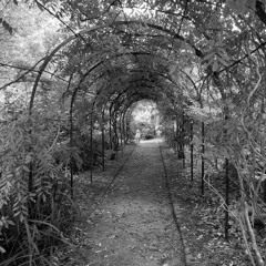 Alon Malka - Spyke Soundtrack