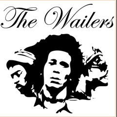 Bob Marley and the Wailers Mix
