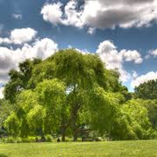 Stream To Build a Home (piano/strings) by Piano_Covers Listen online