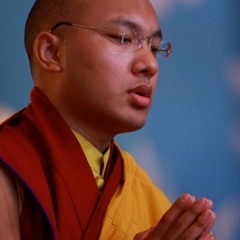 Karmapa recites Om A Hum Vajra Guru Pema Sidhi Hum