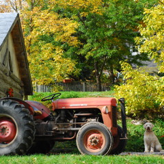 Sand Lake (Live: Sextet)