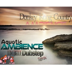Donkey Kong Country - Aquact Ambience (Dom Bigode DUBSTEP Remix)