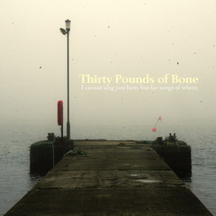 THIRTY POUNDS OF BONE - The Truth of the Matter