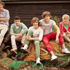 One Direction Gotta Be You .