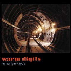 Warm Digits 'Office of the Control Inspector'