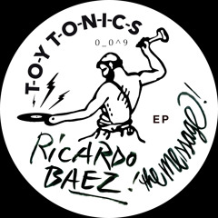 Ricardo Baez - The Language Of Heaven (Newbody Remix) (excerpt)