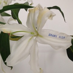 Broke feat. Bruno Hibombo