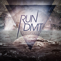 Run DMT ft. Zeale & Derek Allen - Into The Sun