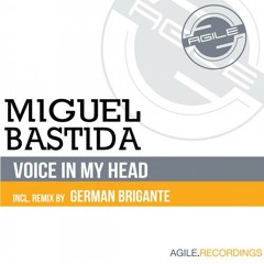 Miguel Bastida - Voice In My Head (German Brigante Remix)