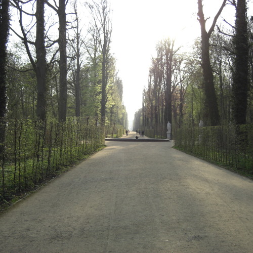 The Secret Garden