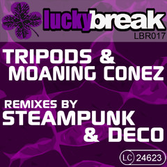LBR017 Secure Unit - Moaning Conez (Deco Remix)