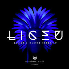 Sebjak & Marcus Schossow - Liceu (Original Mix)