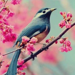 أُنس الوجود