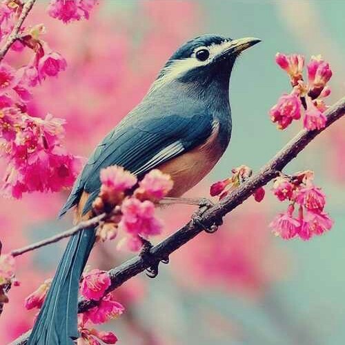 أُنس الوجود