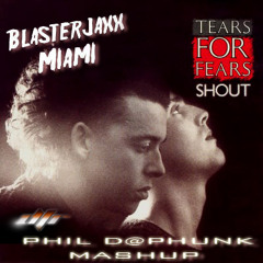 BlasterJaxx vs Tears For Fears - Shout for Miami (Phild@Phunk MashUp)